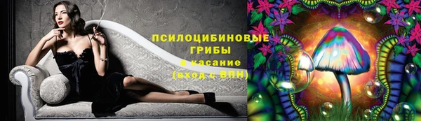 синтетический гашиш Алексеевка